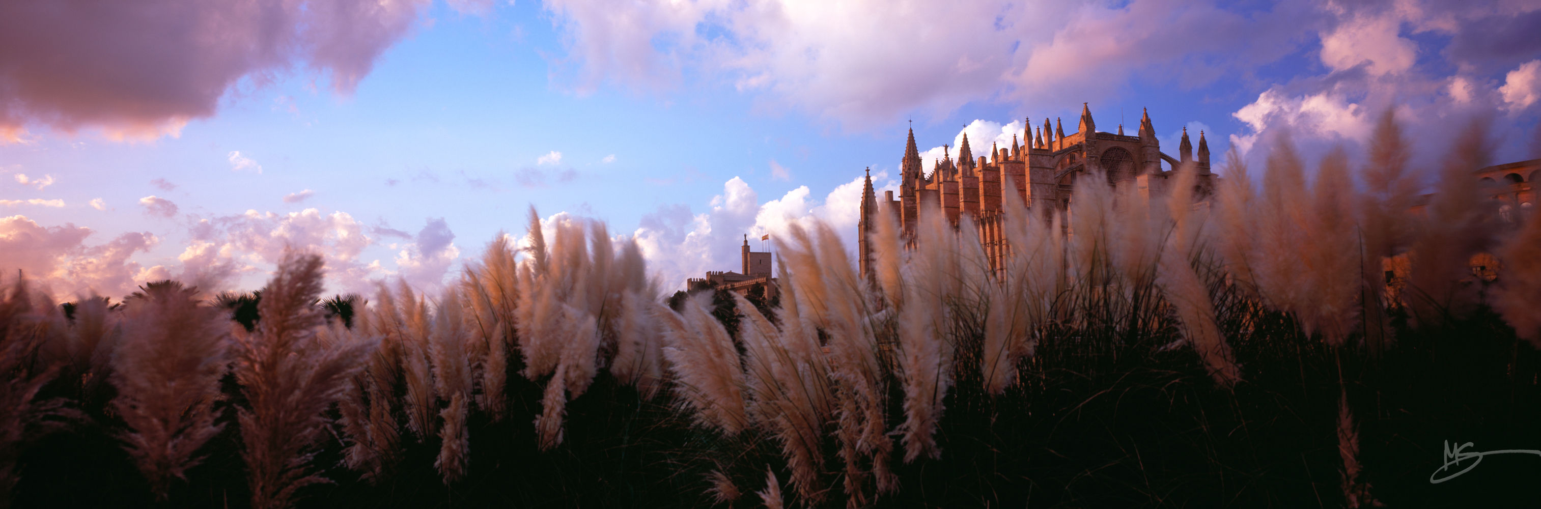 SANTA MARIA DE PALMA