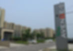 Tulip Avenue 2