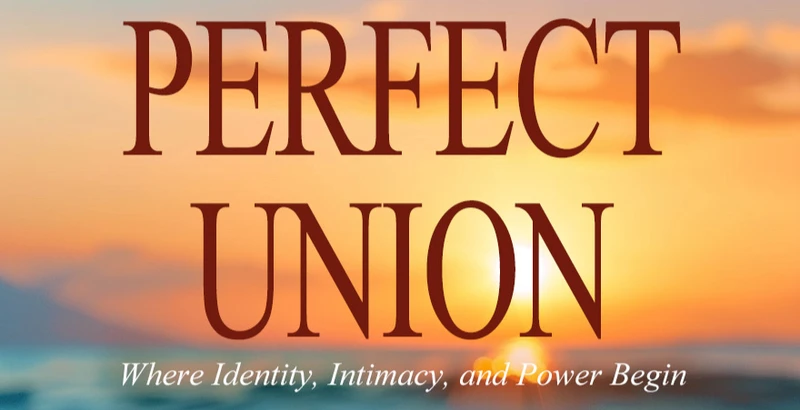 Perfect Union book cover by Randy T. Curtis Jr.