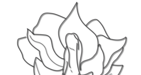4.Graphic Poster Final Draft.png