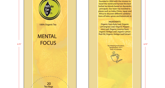 17.Mental Focus Round.png