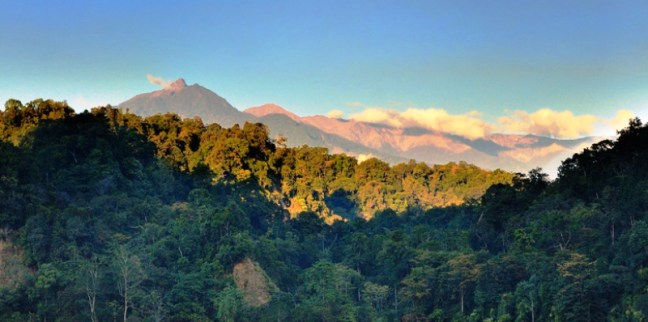 View of the mountains in Namdapha National Park