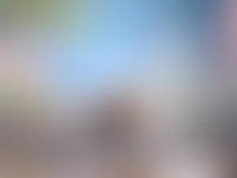 A tiger and her cubs walking a path in a jungle of Pakke Tiger Reserve, Arunachal Pradesh.