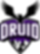 District Reign Universal Institute of Development logo