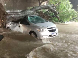 🌧️ Tragedia en Tucumán: una pareja murió tras quedar atrapada en su auto durante el temporal