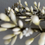 Thumbnail: Lizeron LEO Headpiece