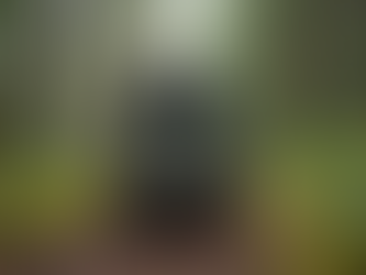 Essential Hiking Gear for Your Next Adventure