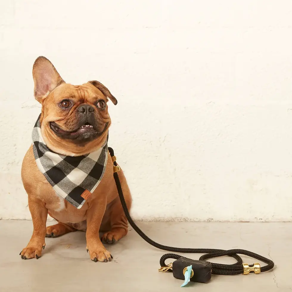 Thumbnail: Sand Waxed Canvas Poop Bag Dispenser