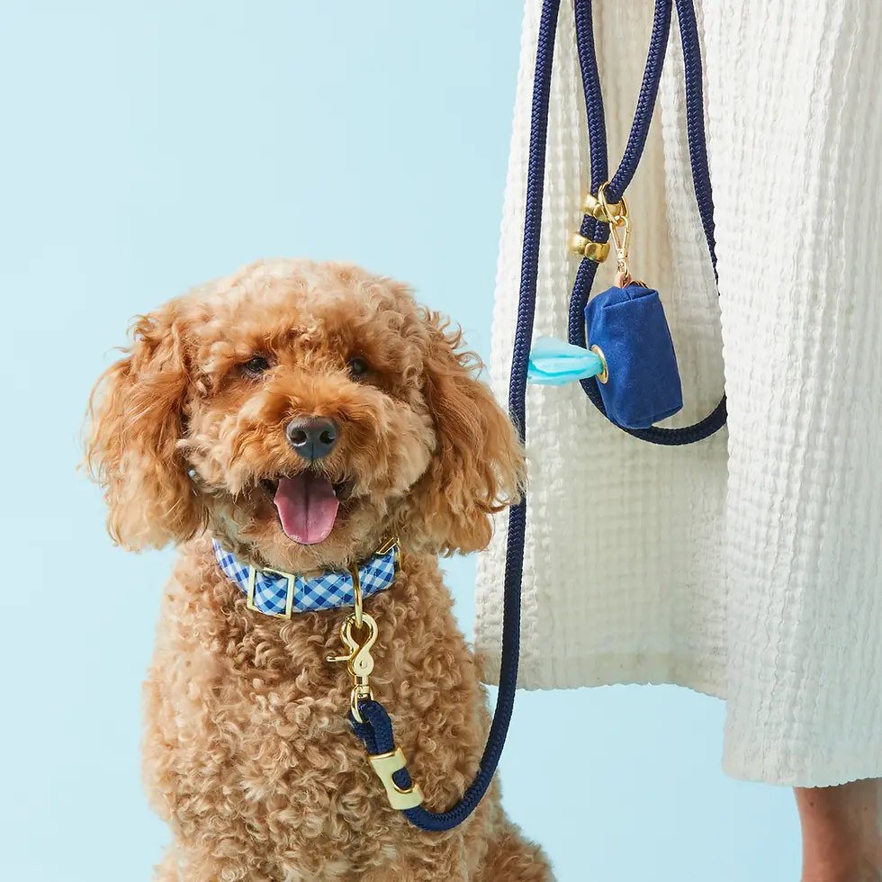 Thumbnail: Ocean Marine Rope Dog Leash (5ft)