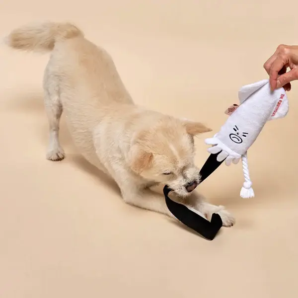 Thumbnail: Calamari Nosework Toy