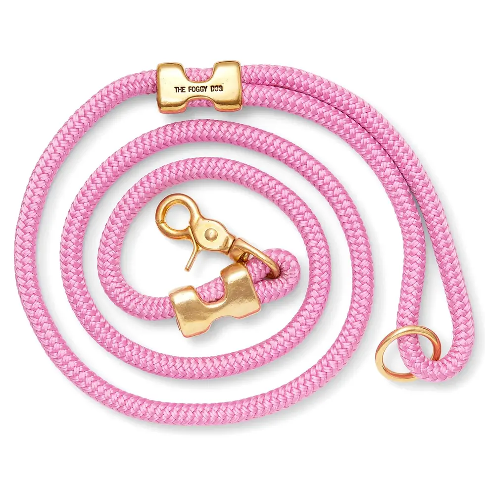 Orchid Marine Rope Dog Leash (petite)