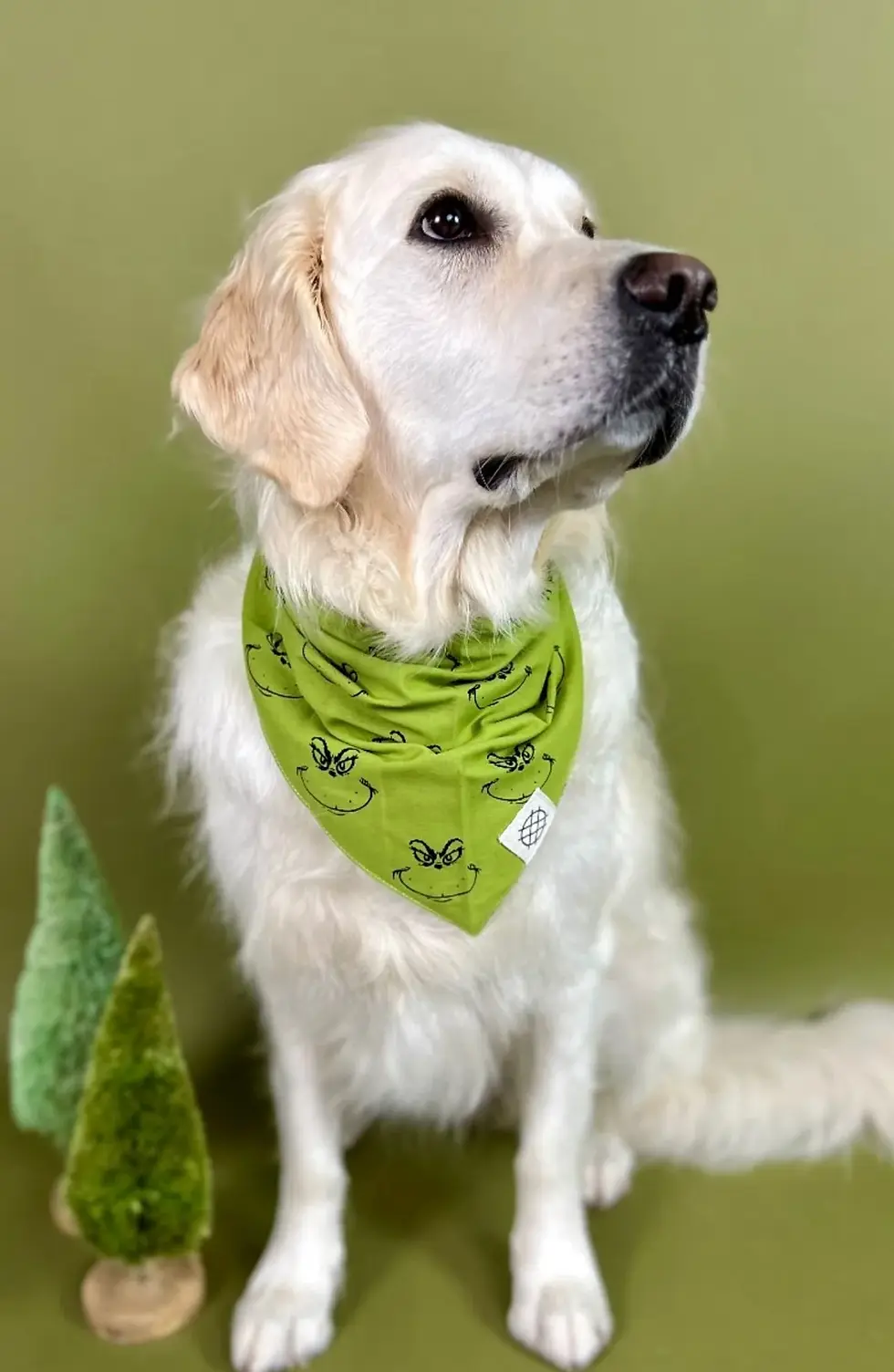 Thumbnail: Grinch Dog Bandana
