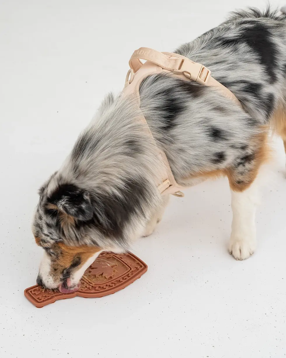 Thumbnail: Maple Syrup Enrichment Lick Mat