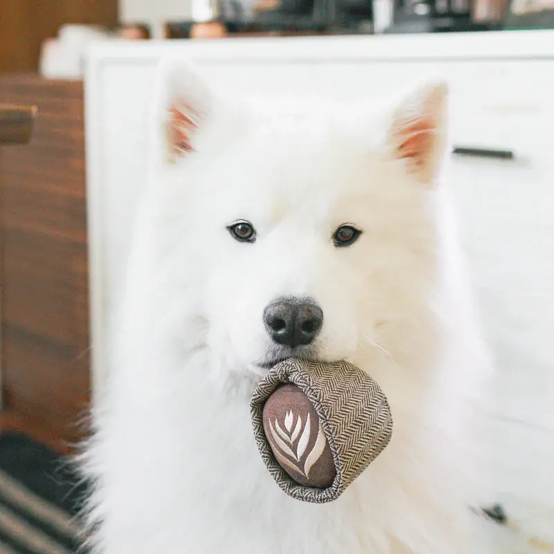 Thumbnail: LambWolf Latte Pop Enrichment Snuffle Dog Toy