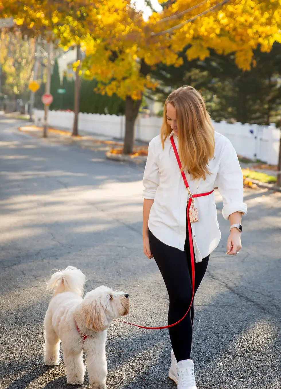Thumbnail: 4-in-1 Wide Convertible Hands Free Cloud Dog Leash Cherry Red