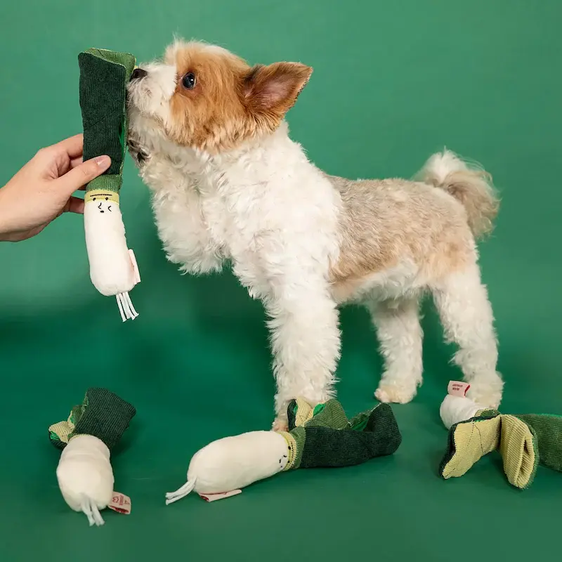 Thumbnail: Green Onion Nosework Toy