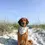 Thumbnail: Eastern Shore Dog Bandana (large)