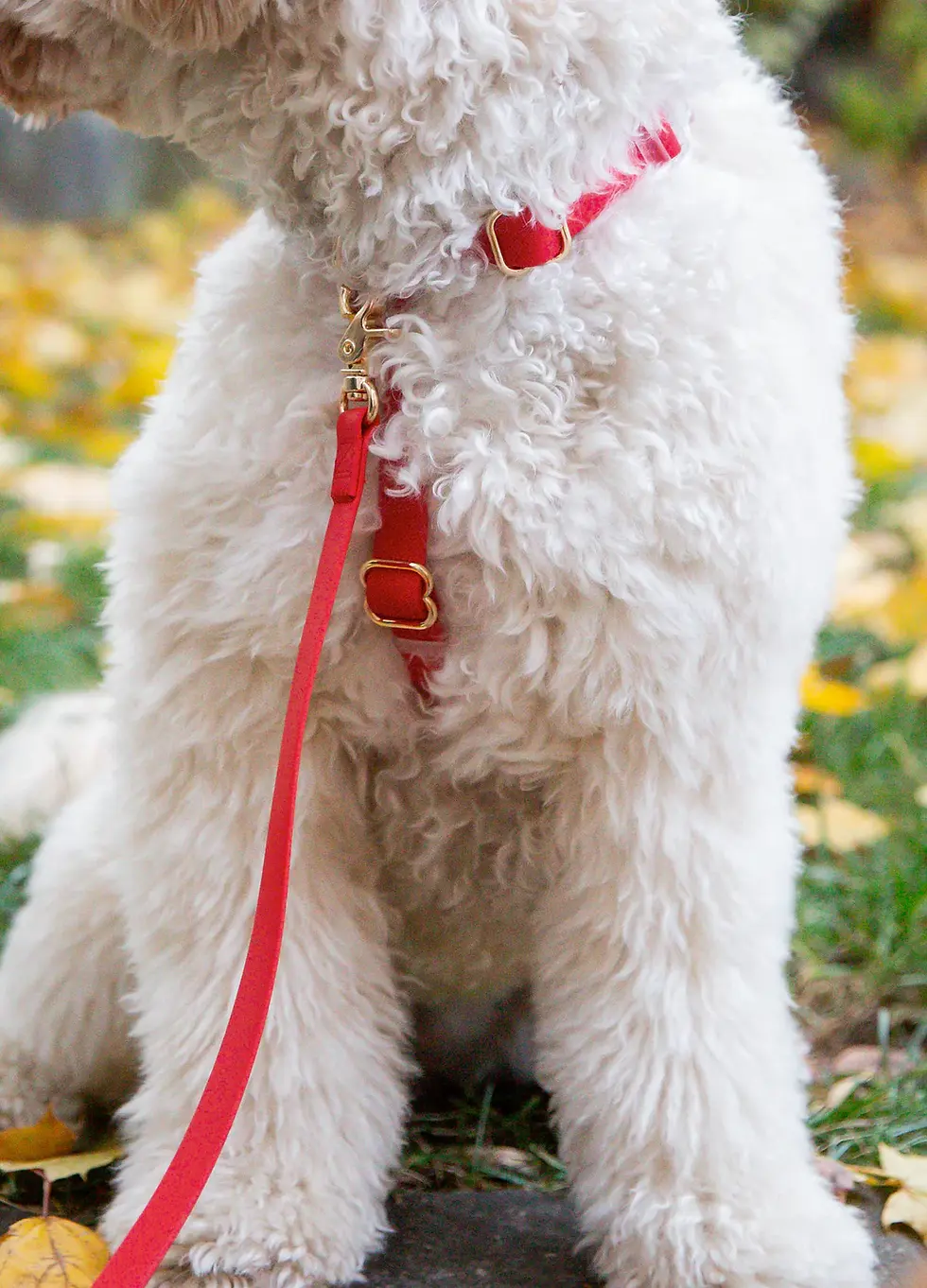 Thumbnail: Cherry Red Cloud Lite Dog Harness