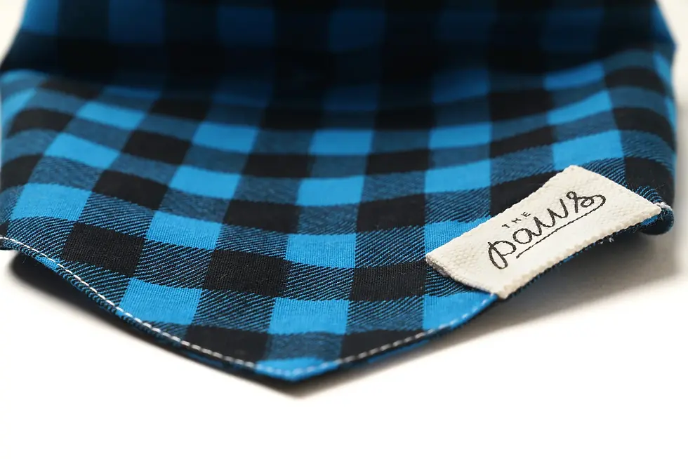 Thumbnail: Scotch Dog Bandana