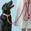 Thumbnail: Hot Pink Marine Rope Dog Leash