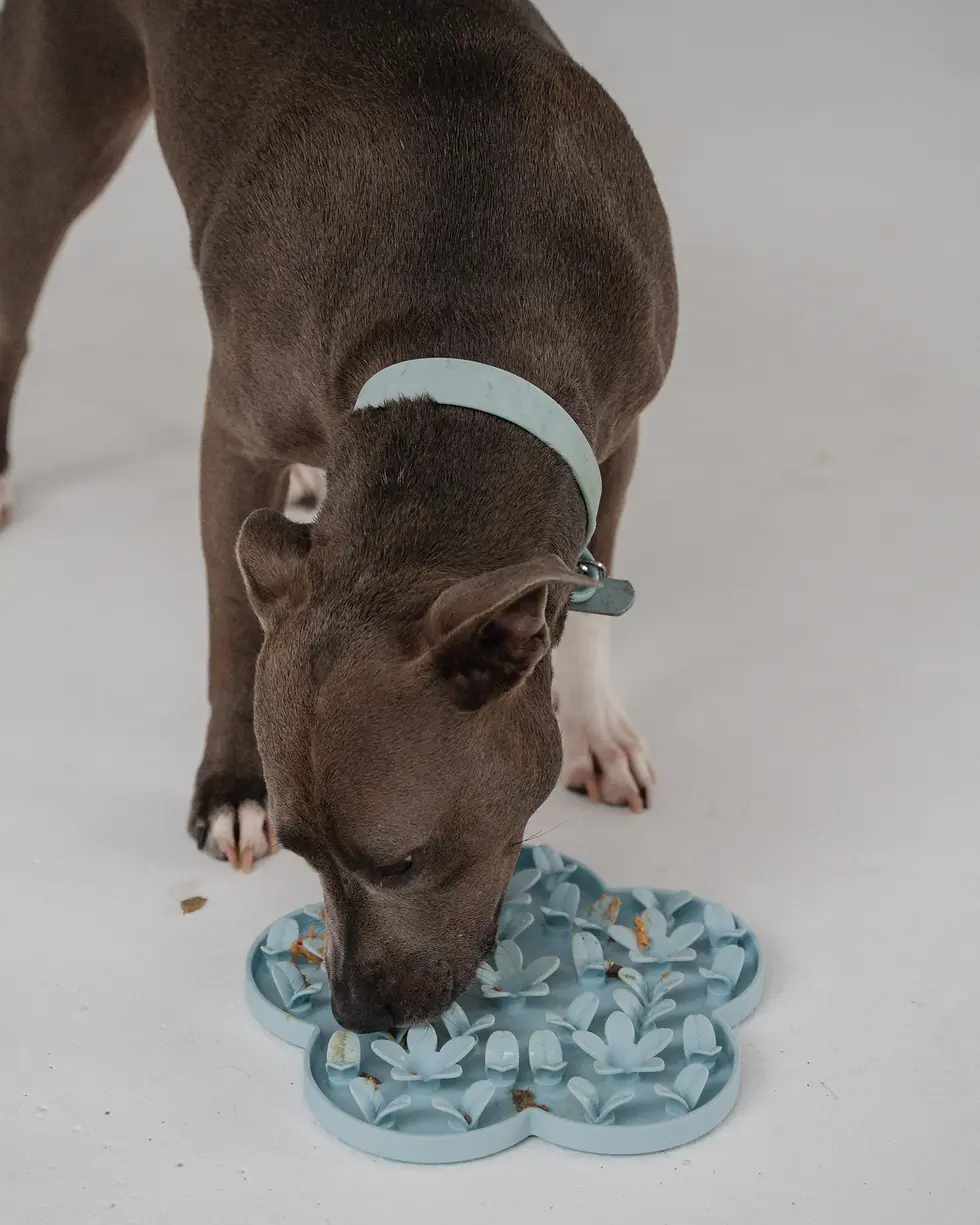 Thumbnail: Sky Blue Flower Enrichment Snuffle Mat