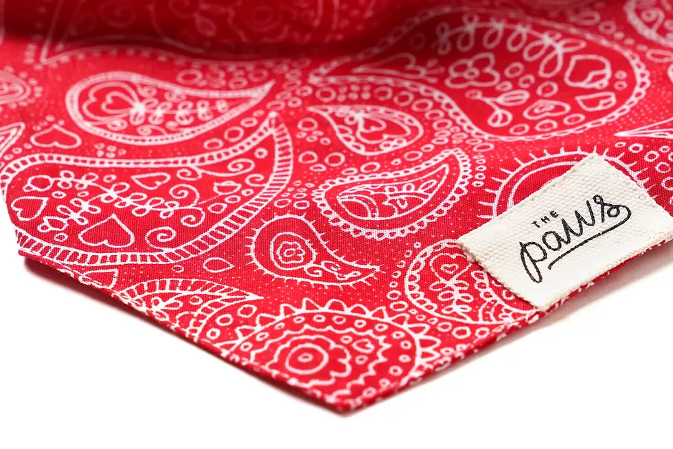 Thumbnail: Rodeo Dog Bandana