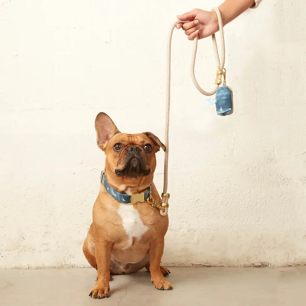Thumbnail: Flax Marine Rope Dog Leash (petite)