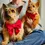 Thumbnail: Cranberry Velvet Dog Bow Tie
