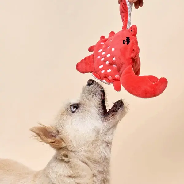 Thumbnail: Crab Nosework Toy