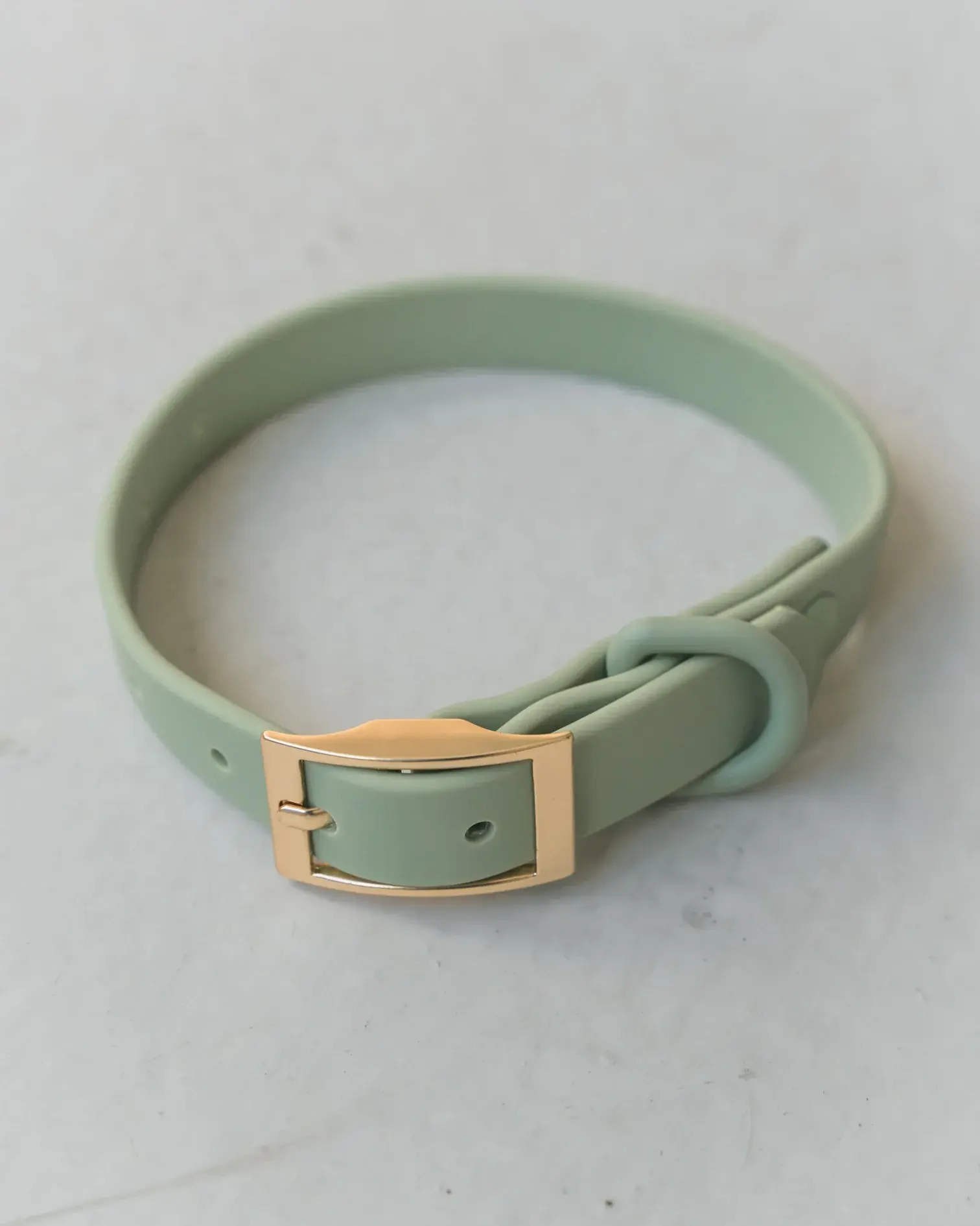 Dexypaws Dog Waterproof Collar Sage Green X-Large 1x17-21"