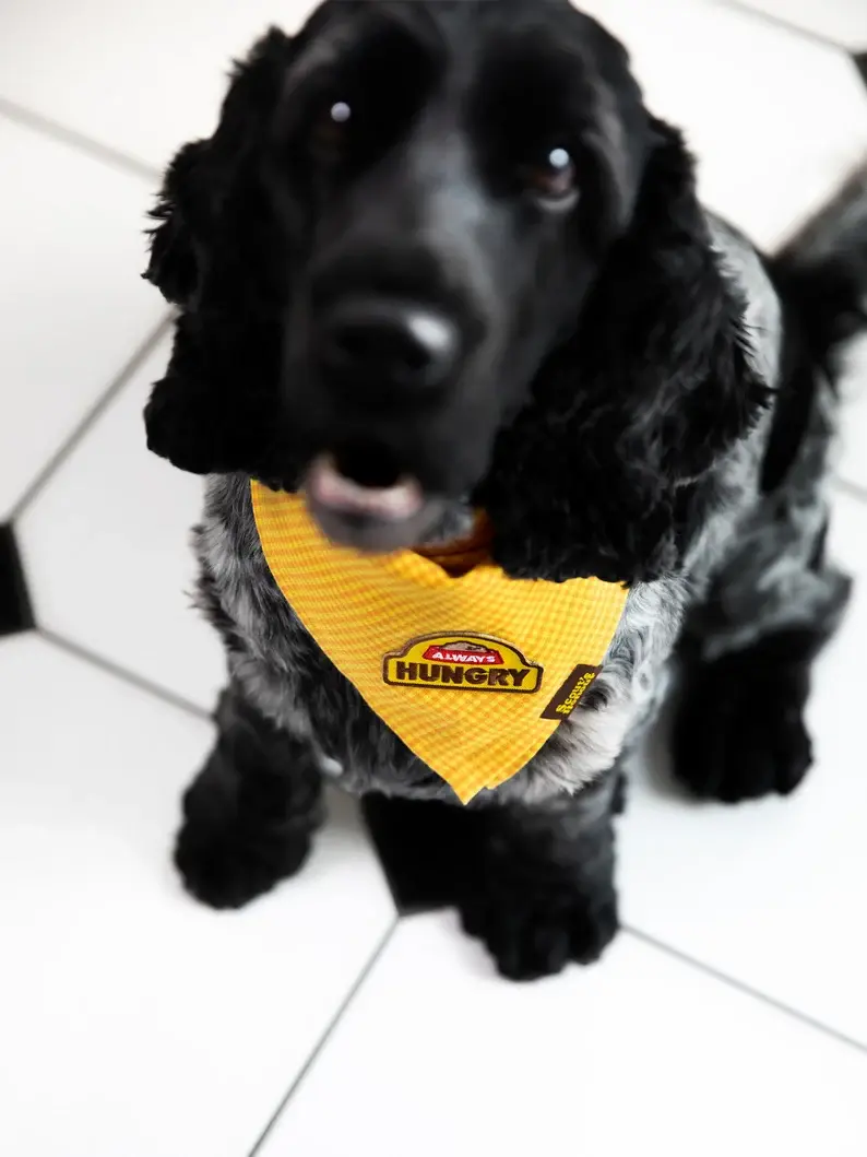 Thumbnail: Always Hungry Iron-On Patch For Dogs