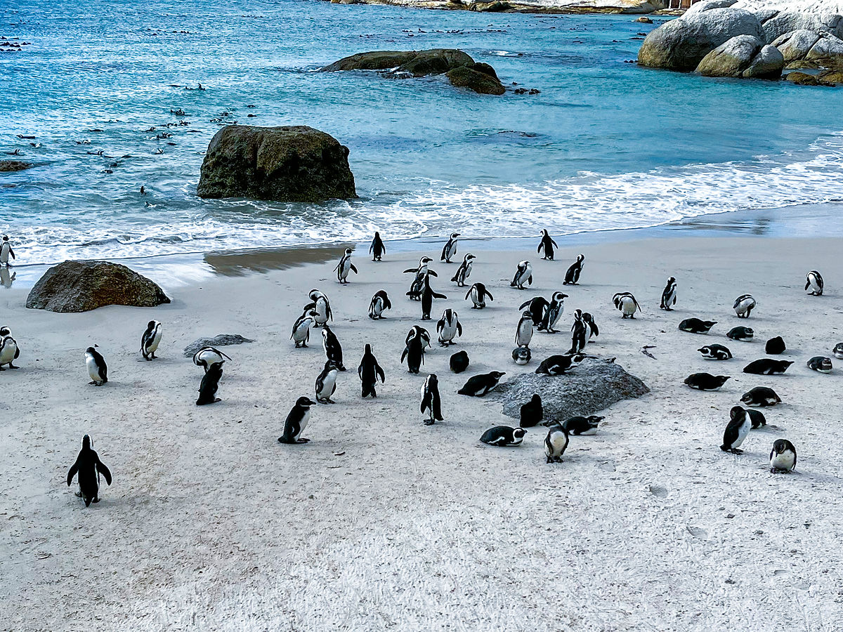 Cape Town, South Africa (3)