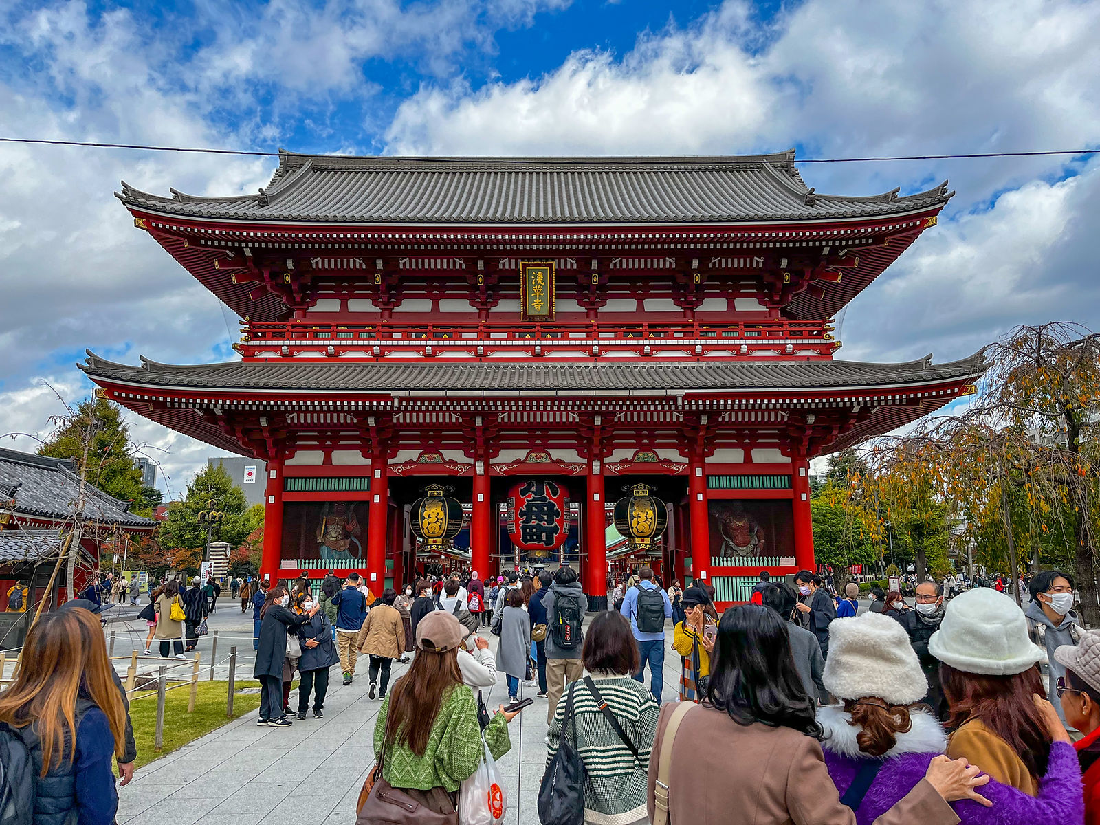 Tokyo Travel Guide: Best Districts, Food & 5-Day Itinerary