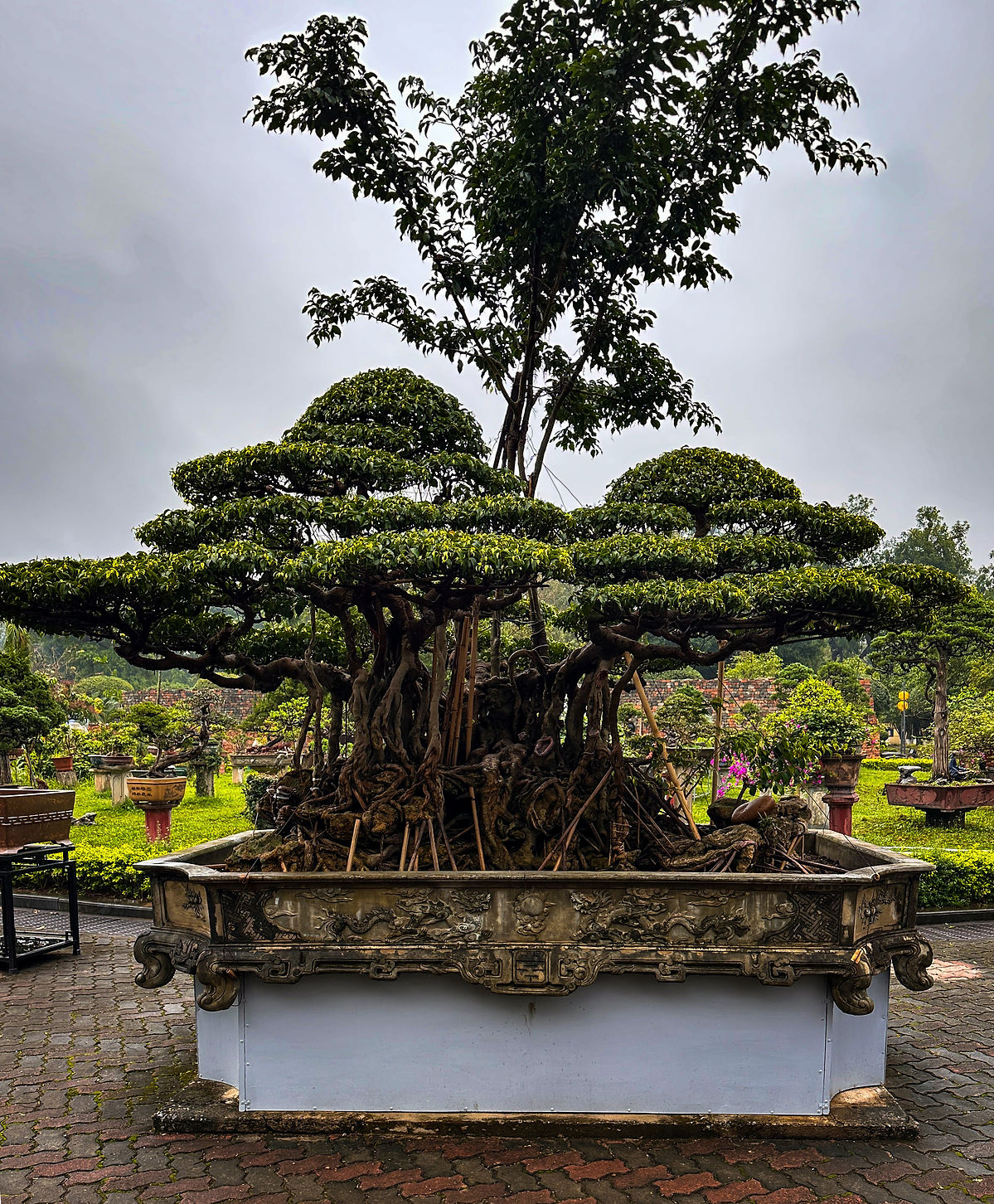 Hanoi Thang Long İmparatorluk Kalesi (2)