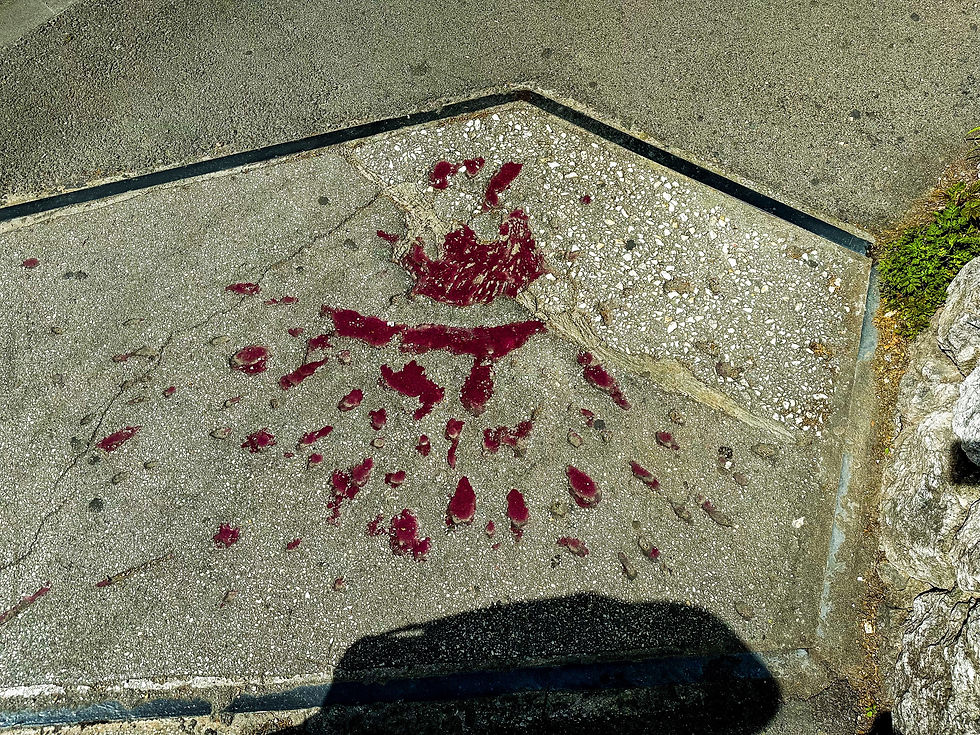 Sarajevo rose