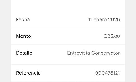 Ejemplo Boleta.jpg