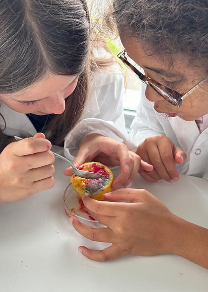 activité montessori