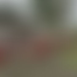 Thank You for Building the Dream: My Learning Farm READS! 🌻📚