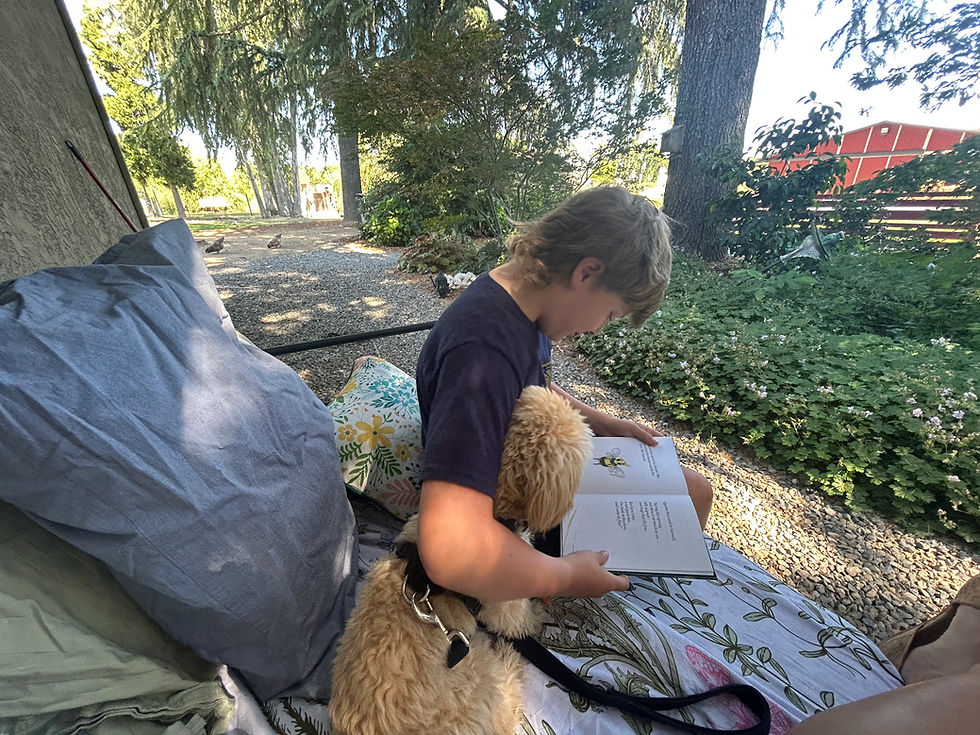 What we do best here on the Farm: joyfully reading among nature & animals!