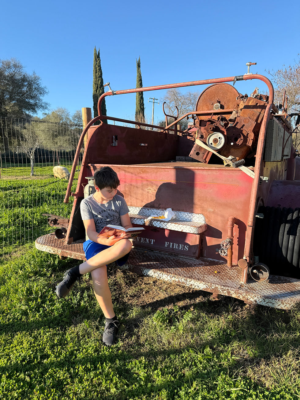 🌾 Love Grows Here