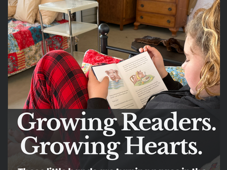 🌿📖 NEW: My Learning Farm READS! — Where Stories Come to Life 🐑✨