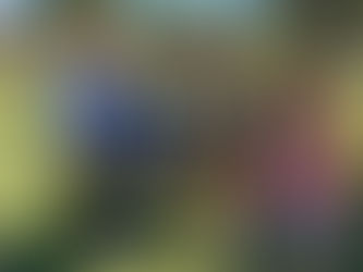 Why I LOVE Farm Classes