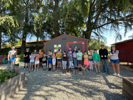 Why I LOVE Summer Camp!