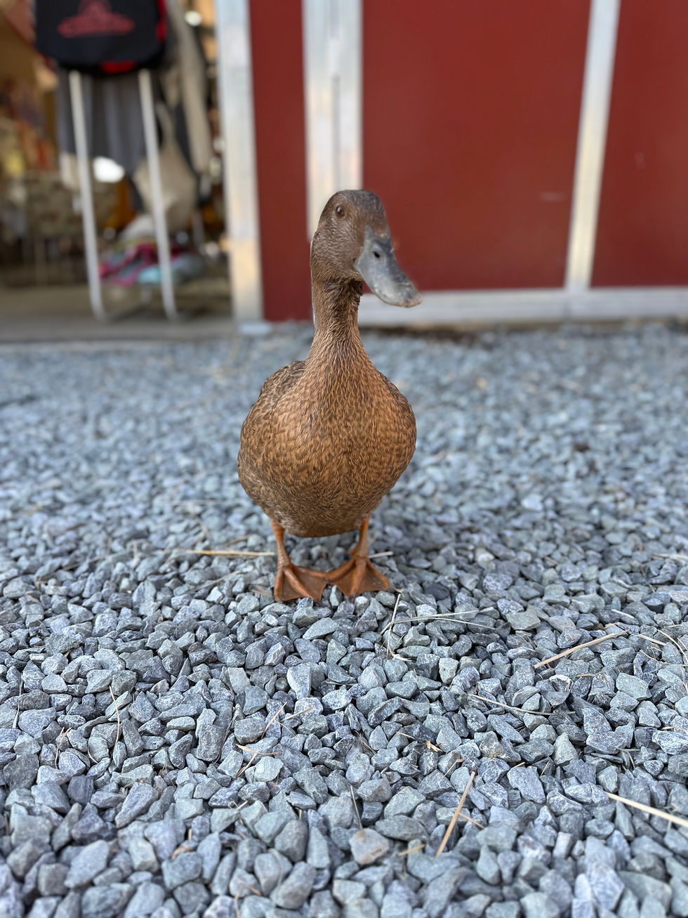 Progress Looks Different for Every Child 🌾