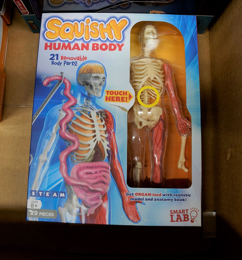 Thumbnail: Case Lot of Toys - Shelf Pull Condition - Manifested