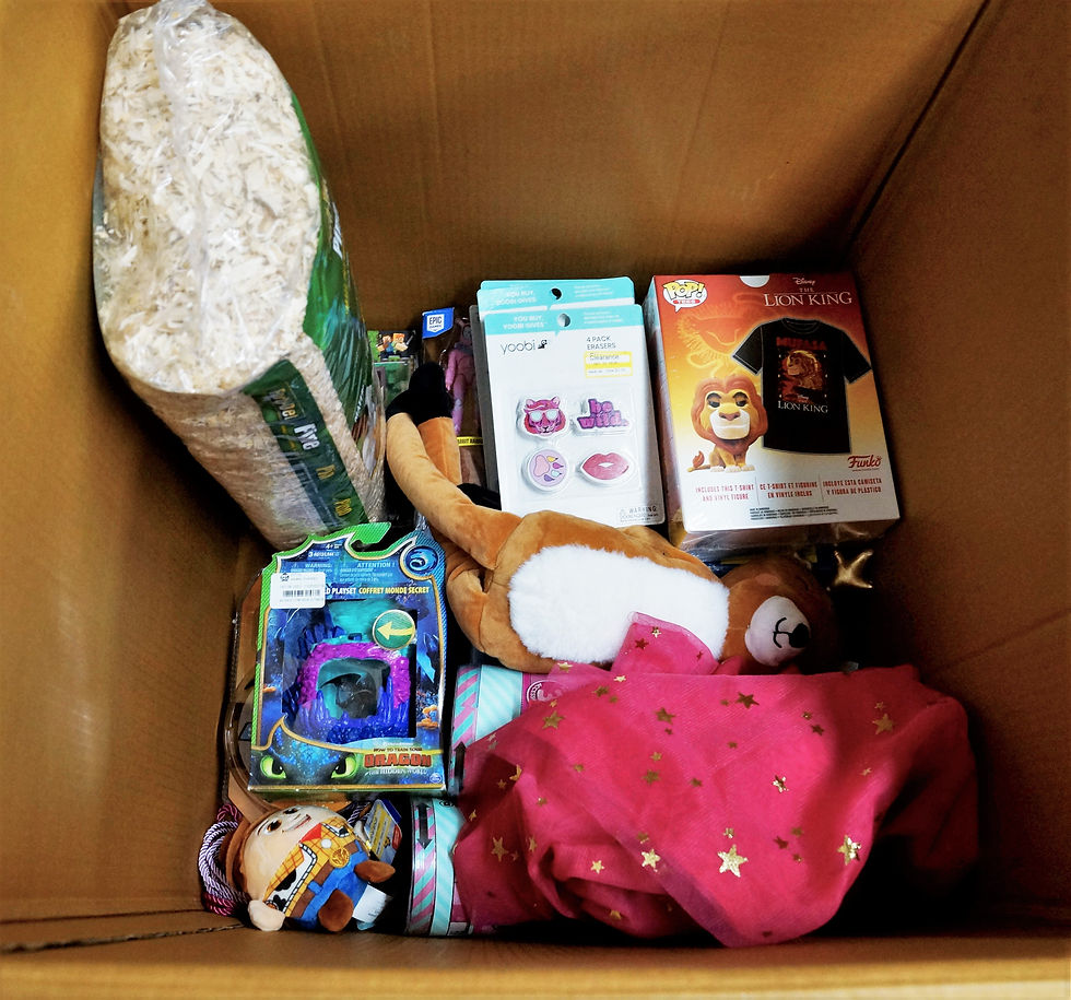 Thumbnail: Case Lot of T@RGT General Merchandise - 68 Units - Manifested