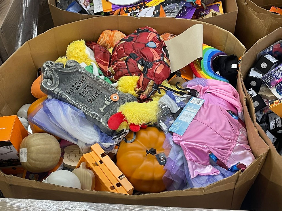 Thumbnail: 🎃Halloween Merchandise Pallets🎃