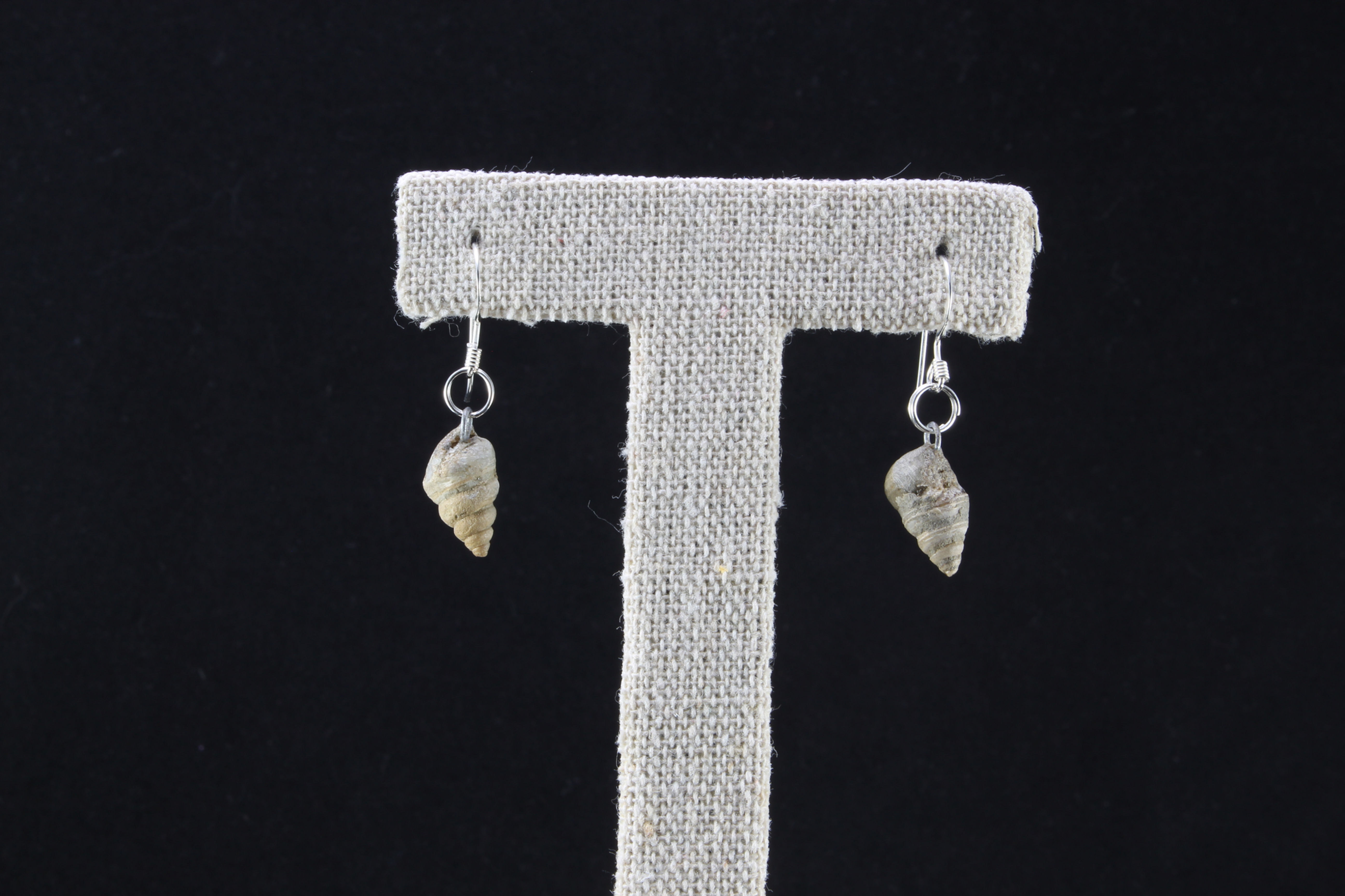 PENDIENTES DE CARACOLES FÓSILES