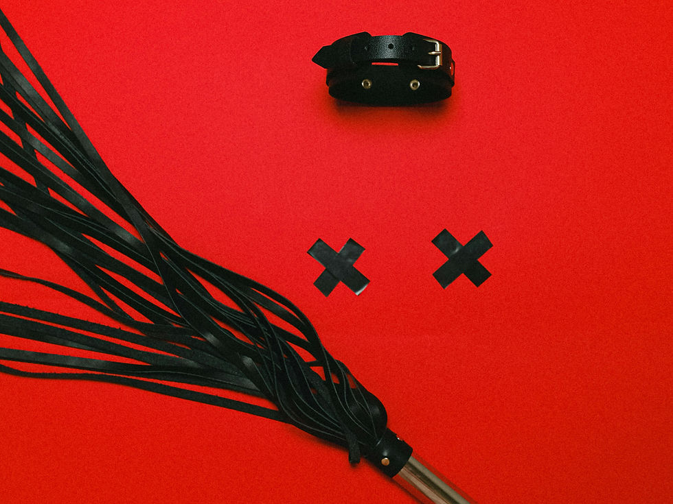leather whip, black leather collar, and two tape x's on a red background