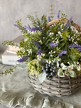 IMG_3865.jpeg